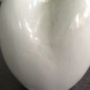EPS foam giant tooth for Delta Dental 